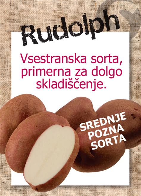 Infografika: Vrste krompirja in njihova uporaba (Tip A, B, C)