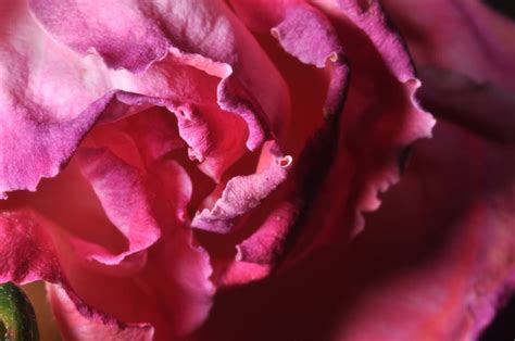 Primerjava teksture gladke in ostre moke z makro fotografijo