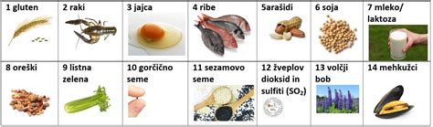fotografija jedilnika z označenimi alergeni