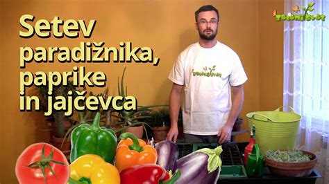 Infografika o hranilnih vrednostih paradižnika, paprike, čebule in jajčevca