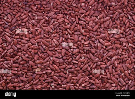 Prikaz procesa fermentacije riža z glivo Monascus purpureus