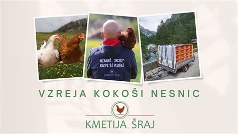 Ekološka kmetija in mlin