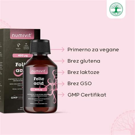 Infografika: Hranilne vrednosti rdeče pese (železo, folna kislina, betalaini) in njen vpliv na hemoglobin
