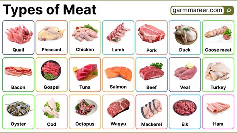 Infographic showing different types of meat for paprikash and appropriate fats