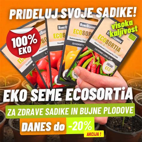 shema setve fižolovih semen v zemljo