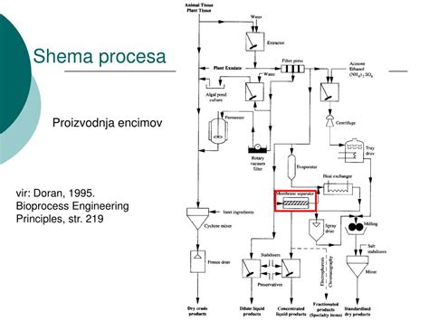 Shema procesa zorenja mesa v nadzorovanih pogojih