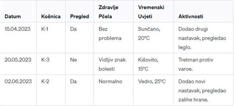 primer delavniškega dnevnika/obrazec