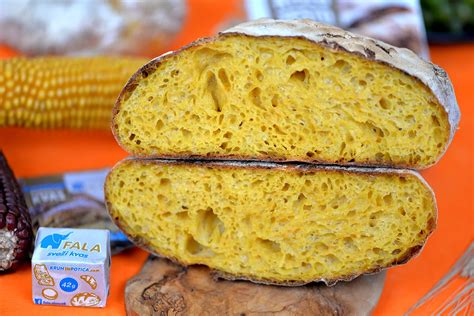 Fotografija različnih jedi pripravljenih s koruzno moko (kruh, polenta, tortilje)