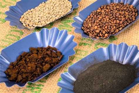 Infografika: vrste kavnih zrn (Arabica, Robusta) in stopnje praženja