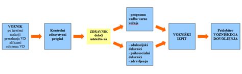 Infografika, ki prikazuje korake za pridobitev vozniškega dovoljenja D-kategorije