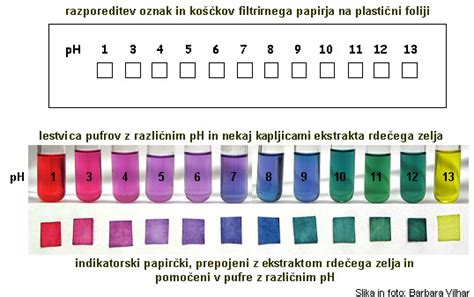 Infografika: Pomen pH-vrednosti in dodatkov za barvo in okus rdečega zelja