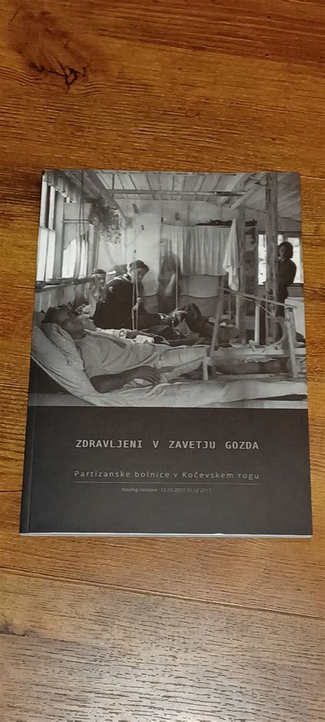 arhitekturna upodobitev partizanske bolnice v Kočevskem rogu