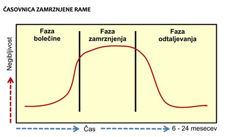 diagram, ki prikazuje časovno os okrevanja pri sindromu zamrznjene rame