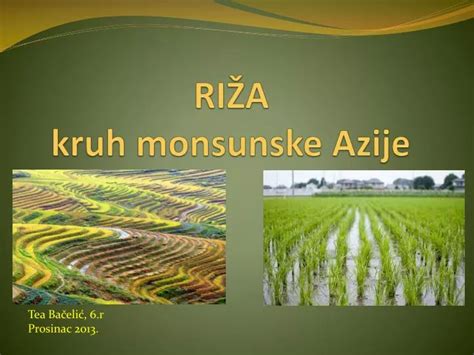 Zemljevid monsunske Azije in glavnih območij pridelave riža