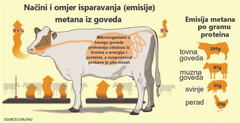 Infografika: Vpliv pridelovanja riža na emisije metana