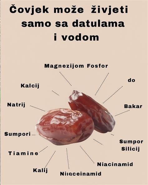 Infografika: zdravstvene prednosti divjačine