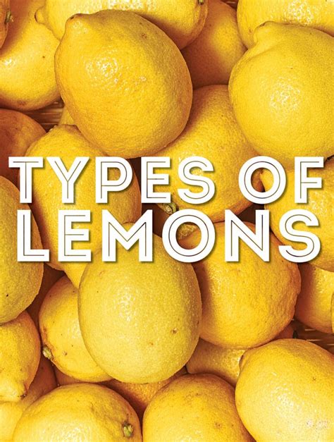 Infographic showing different types of lemons and their uses