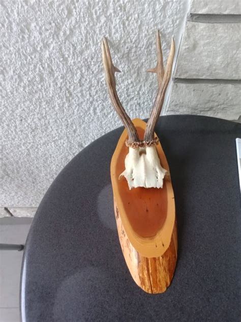 Izbor različnih salam na leseni deski