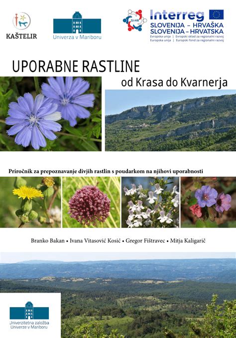 Vizualizacija divjih rastlin in zelišč