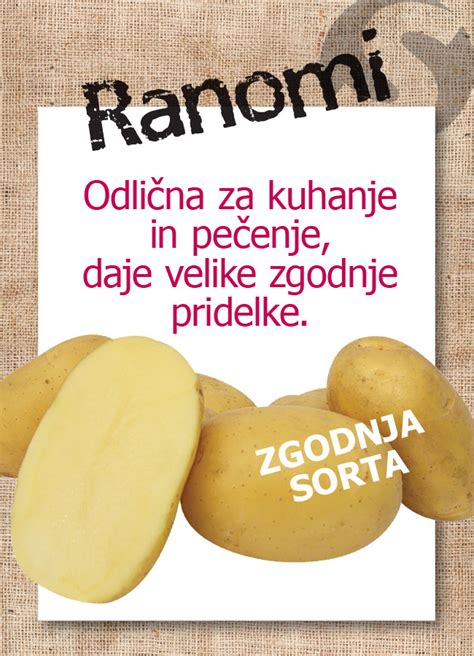 starodavna infografika pridelave krompirja v Andih