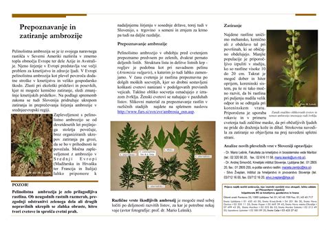 slika različnih vrst vloženih zelenjavnih pridelkov