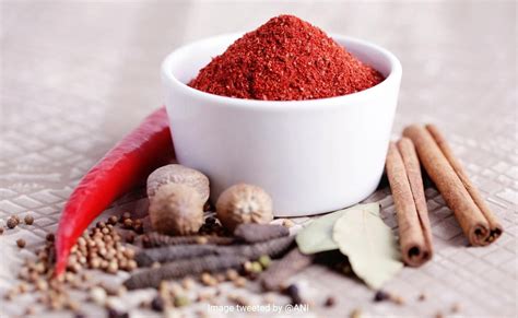 Tematska fotografija indijskih začimb Tandoori Masala v skodelici