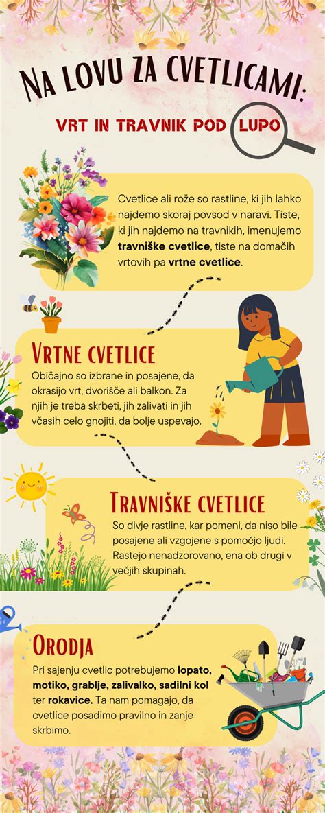 Infografika z osnovnimi sestavinami za zelno solato