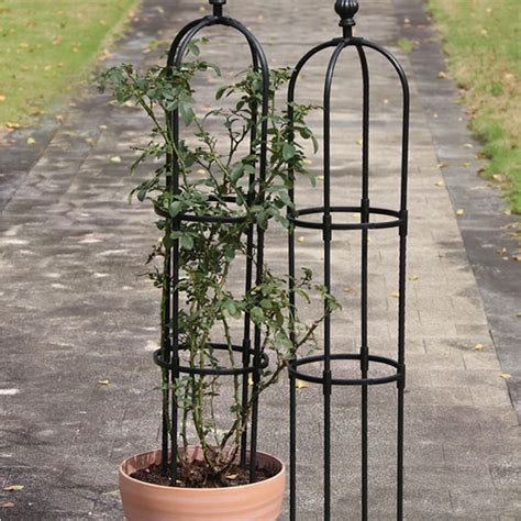 Thematic photo of a garden with various types of supports for climbing plants