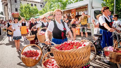 Fotografija vinogradov in češenj v Goriških Brdih