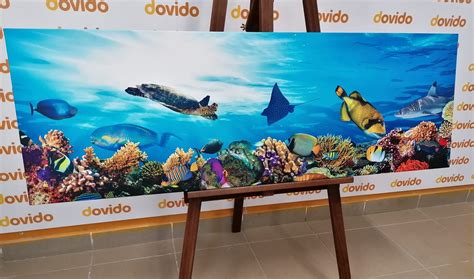 Fotografija brodeta z različnimi ribami in morskim sadežem