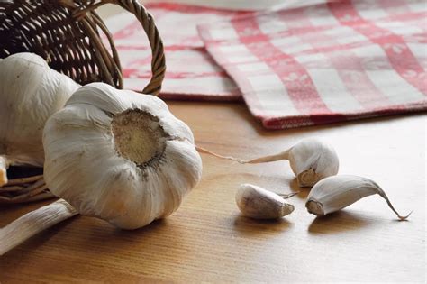 Tematska slika: Surovi stroki česna in cela česnova glava