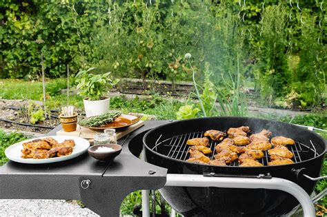 Ilustracija raznolikih prilog ob jedeh z žara na pikniku