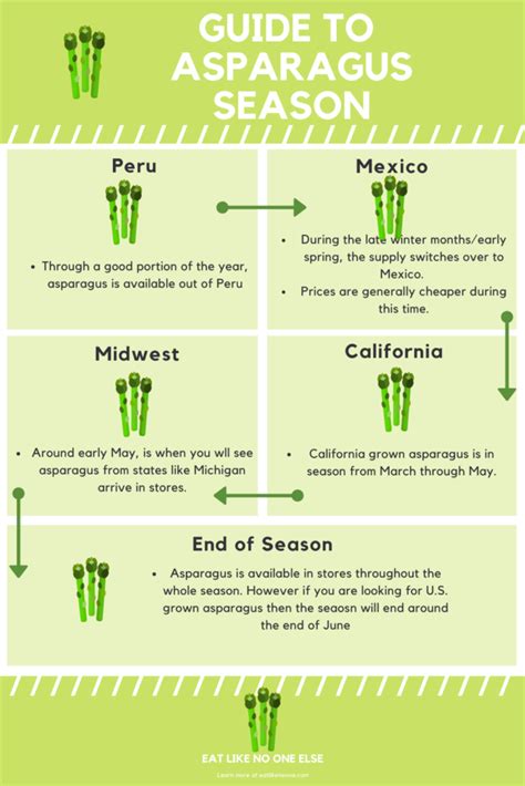 Infographic showing the asparagus harvesting season from April to June