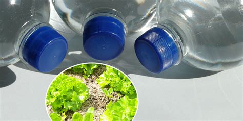 shema izdelave vodnega filtra iz plastenke