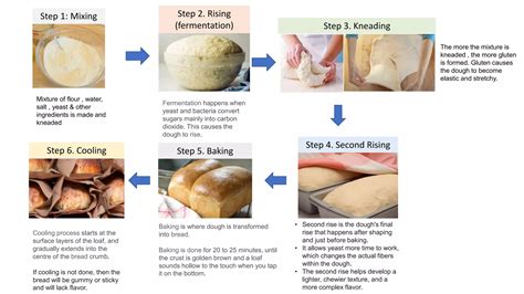 Infographic showing the stages of dough preparation: mixing ingredients, kneading, first rise