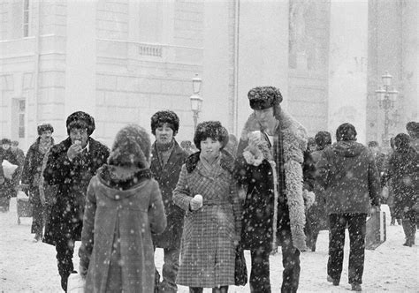 Tematska fotografija izsušenih rok v hladnem vremenu