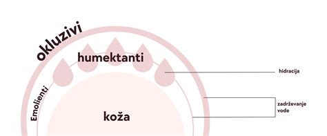 Infografika o delovanju okluzivov, emolientov in vlažilcev na koži