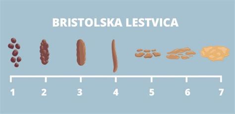 Shema: Bristolska lestvica blata za oceno konsistence