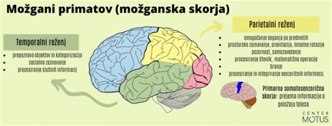 Infografika o NTC učenju in pomenu igre za razvoj možganov
