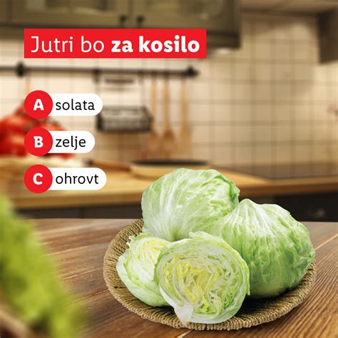 Infografika ali shema sestavin za klasično zeljno solato s tuno