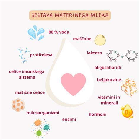 Sestava različnih vrst rastlinskega mleka in kakavovih dodatkov