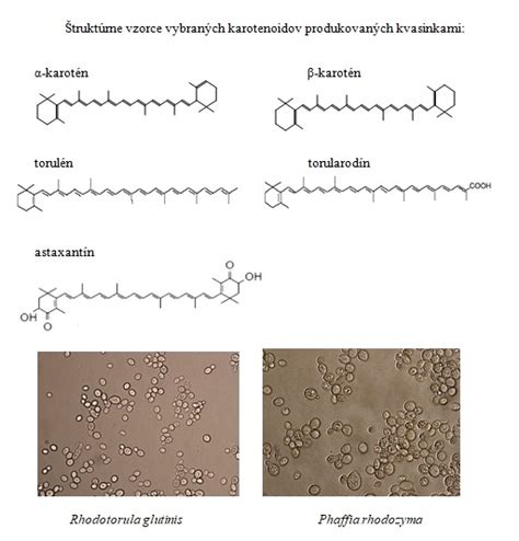 Diagram, ki prikazuje molekularno strukturo fenolnih spojin in karotenoidov v prosu.