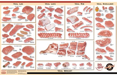 Infographic showing different cuts of veal suitable for steaks