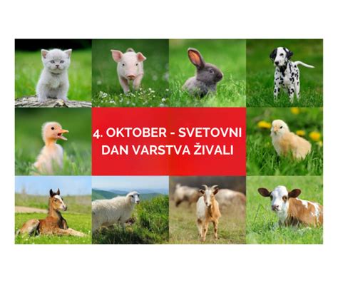Fotografija z Vegafesta ali Shoda za Svetovni dan živali.