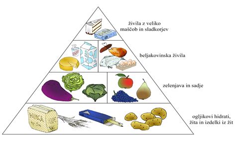 Grafika z ilustracijo prehranske piramide za dojenčke