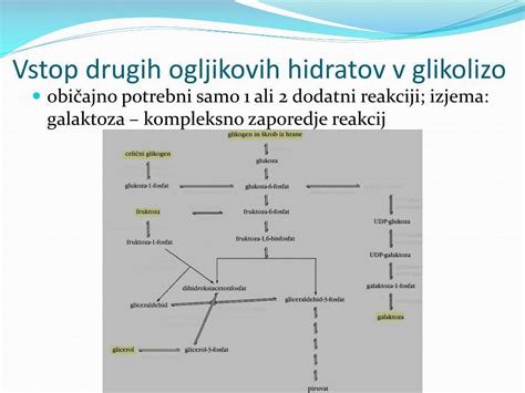 infografika o presnovi ogljikovih hidratov in pretvorbi v glikogen
