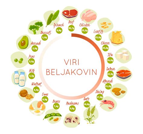 različni viri beljakovin, kot so meso, ribe, stročnice, oreščki in mlečni izdelki