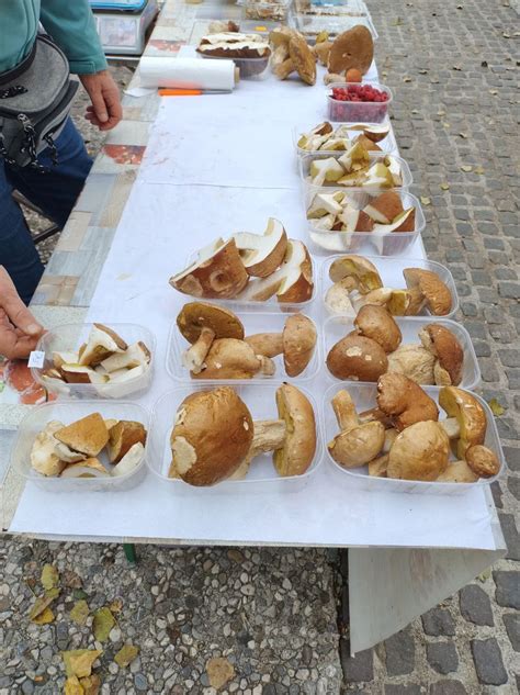 Fotografija svežih šitake gob na tržnici