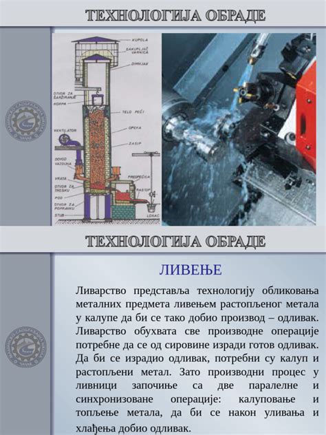 Shema pravilnega čiščenja in rezanja šitake gob