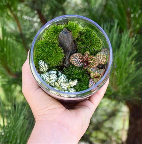 ilustracija različnih vrst burgerjev